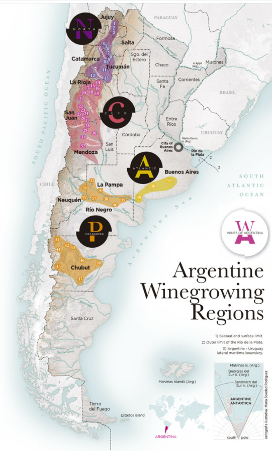 Argentina's wine regions – Criado Wines