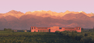 Rutini Wines - One of the most respected wineries in Argentina.