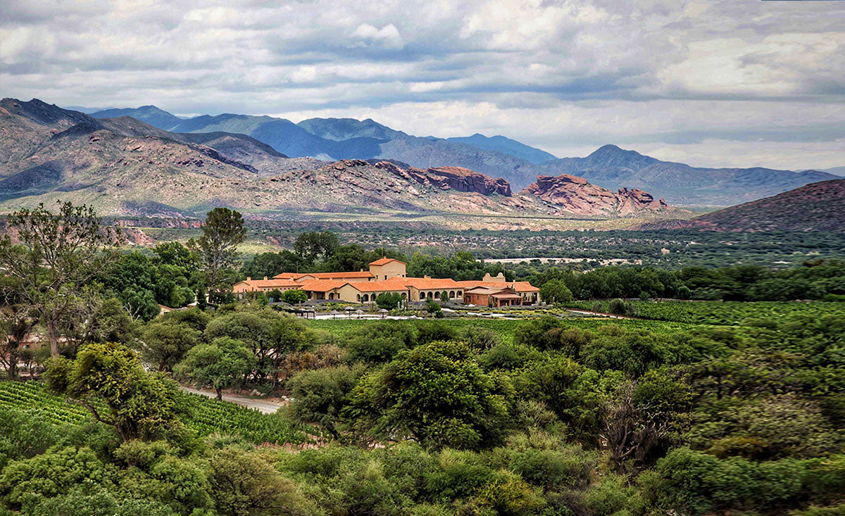 Bodega Colomé – Criado Wines