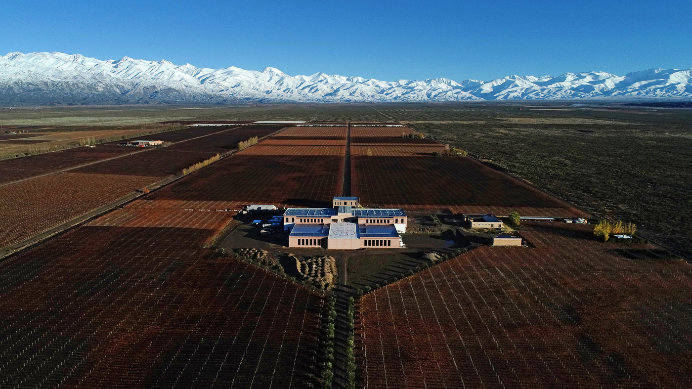 Rutini Wines – Criado Wines