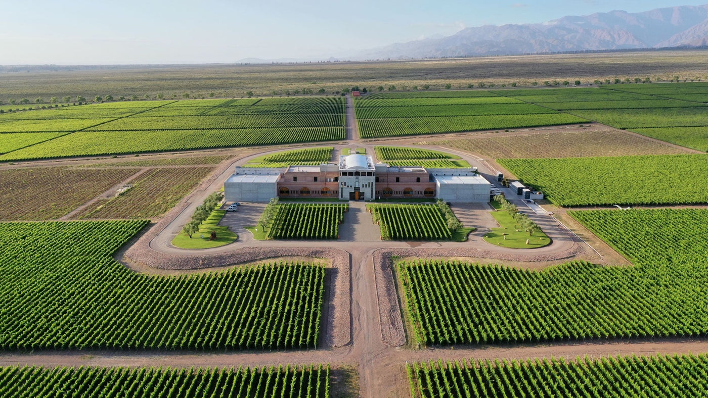 Bodega Monteviejo - Felipe Staiti